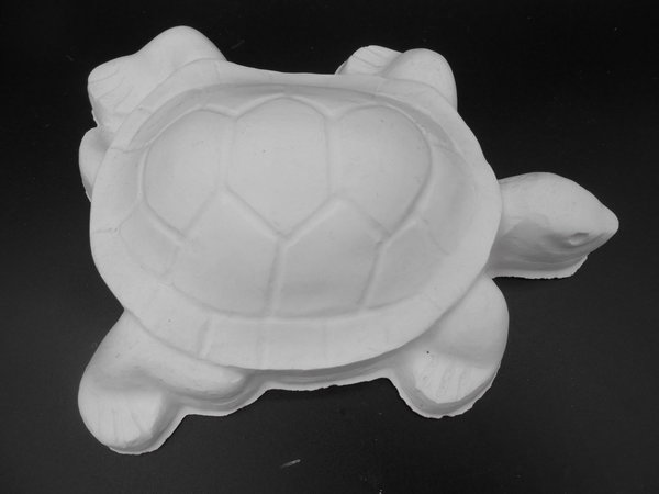 6 Schildkröten Giessformen